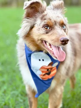 Orange Stripe & Blue Pumpkin Bandana